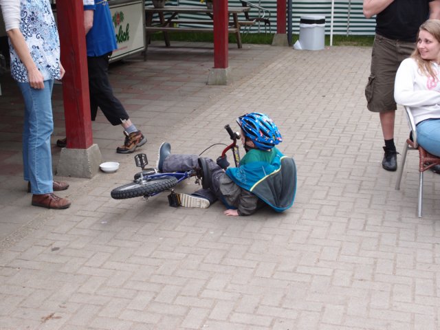 HWK 2012 Hummelo 053.jpg